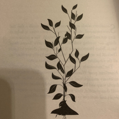 Nic Treadwells Storyville