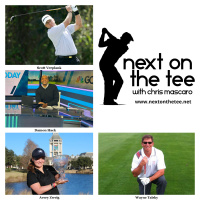 Talking Ryder Cups Past  Present Plus Jr. Solheim Cup with Scott Verplank, Damon Hack, and Avery Zweig, Plus the Golf Adventures of Wayne Talsky...