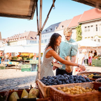 Geopolitieke scenario’s voor 2030 en de betekenis voor de mondiale voedselketen