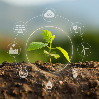 Raboresearch Economie