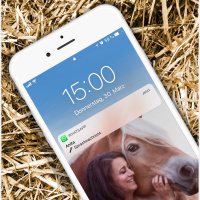 Jäger: Pony mit Wildschwein verwechselt! Schuss!