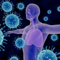 The Immune System amp The Healing Code- Dedicated to help you achieve a natural healing