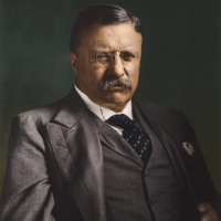 Meaning Behind The Man In The Arena by Teddy Roosevelt 