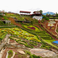 Culture Shocks in Thailand amp Hot Takes on 2024 Elections