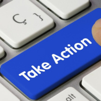 Principle 6: Action