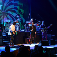 Gregg Bissonette: Drummer to the Stars