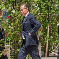 Hunter Bidens Plea Deal and Why It Failed