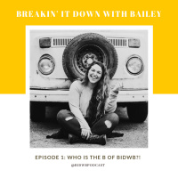 Episode 1: Who is the B of BIDWB? 