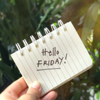 Viernes de... PINSHI CUARENTENA... Y PINSHI PARY!!