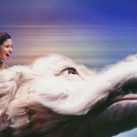 Música que nos hará recordar Los Años Maravillosos