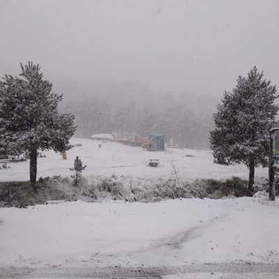 Mixología Alterna Con Sergio Rojas