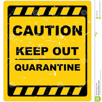 Mixología Alterna Con Sergio Rojas