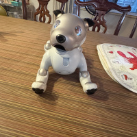 Larger then Life Cover 