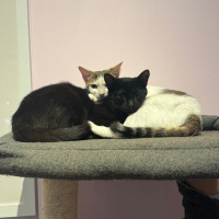 School Year DONE! + August’s BD party in the bay 