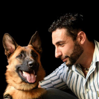 Anche tu sei una bbestia! Come cani e umani sboroneggiano