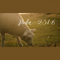 Resting in the Care of the Good Shepherd - Audio