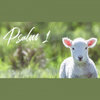 Would You Be Blessed? - Audio