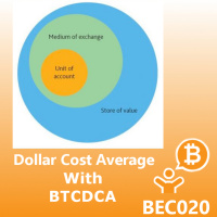 Dollar Cost Average with BTCDCA BEC020