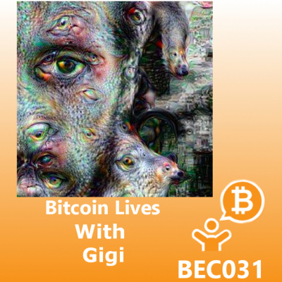 Bitcoin Echo Chamber