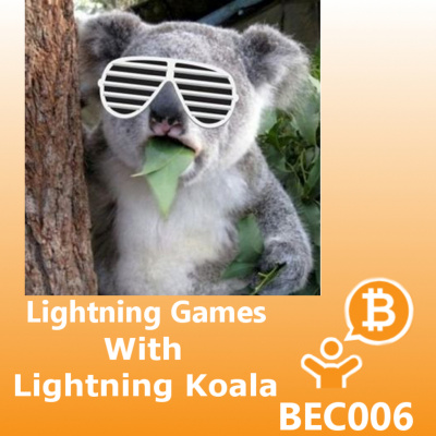 Bitcoin Echo Chamber