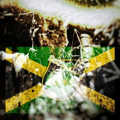 Still Going Somewhere