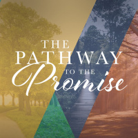 The Hope of Healing // The Pathway to the Promise (Part 12)