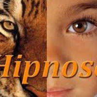 Hipnose conversacional - A criança e os 2 tigres