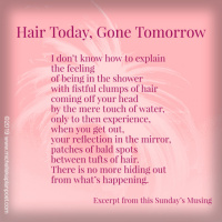 Hair Today, Gone Tomorrow 
