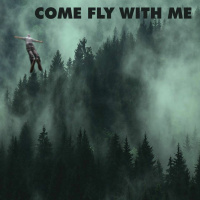 COME FLY WITH ME
