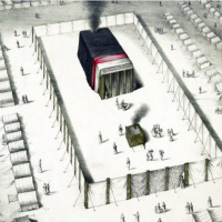 50 A സമാഗമന കൂടാരത്തിലെ നാലു മൂടുശീലകൾ This zoom meeting was conducted by TPC prayer room New Zealand Part 50