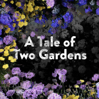 03/31/24- East Rock campus: A Tale of Gardens – Pastor Jared Link
