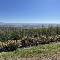 01/01/23- WBTX Program- Seeing God in Creation with Micah Branson