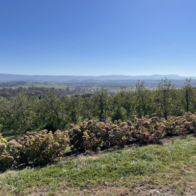 Harrisonburg First Church Of The Nazarene.