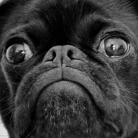 Ep. 20. Hey! The audiences eyes are up here! And over here... and...