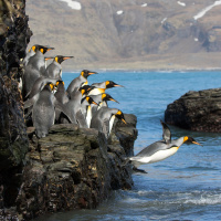 Ep. 14. Get your audience to expect more... of themselves.