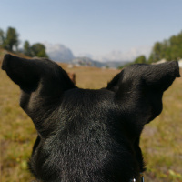 Ep. 28. Listen to speakers outside your niche