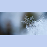 Ep. 5. Get vulnerable