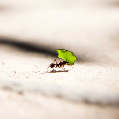 Leadership Communications With Rob Cottingham