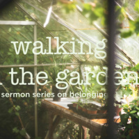 Walking In The Garden - Week 01