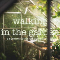 Walking In The Garden - Week 05