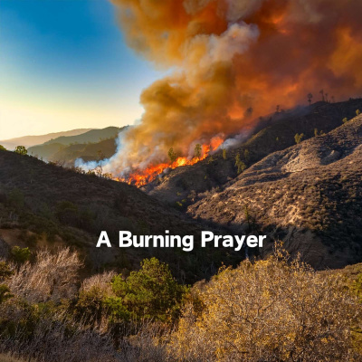 Light Talk With Lucio