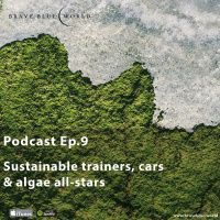 Sustainable trainers, cars  algae all-stars