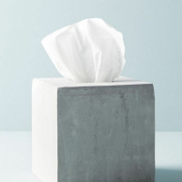 Season One, Episode Twenty: Tissue