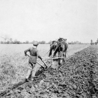 Season One, Episode Fifteen: Seamus Heaney Double Bill feat Follower and Storm on the Island