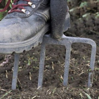 Season One, Episode Twenty Three: Letters from Yorkshire