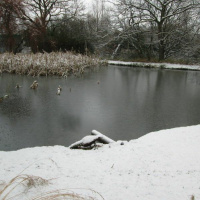 Season One, Episode Ten: Neutral Tones