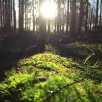 Season One, Episode Nineteen: Eden Rock