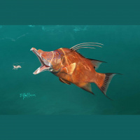 02/27/19 - We Go Off The Rails with Naaackers!