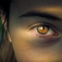 A AUTODETERMINAÇÃO DO ESPÍRITO