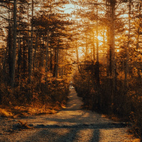 CAP XVIII MUITOS OS CHAMADOS, POUCOS OS ESCOLHIDOS